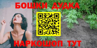 мдпв Пушкино