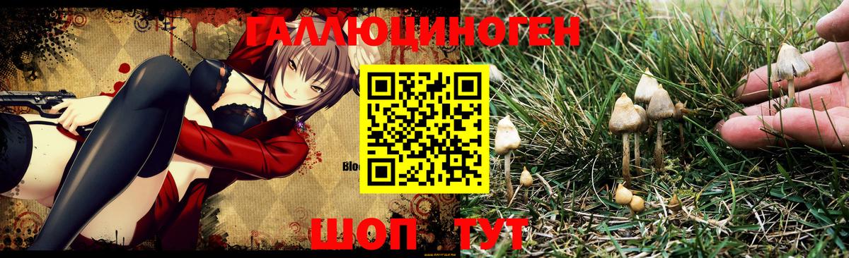 Галлюциногенные грибы MAGIC MUSHROOMS Реутов